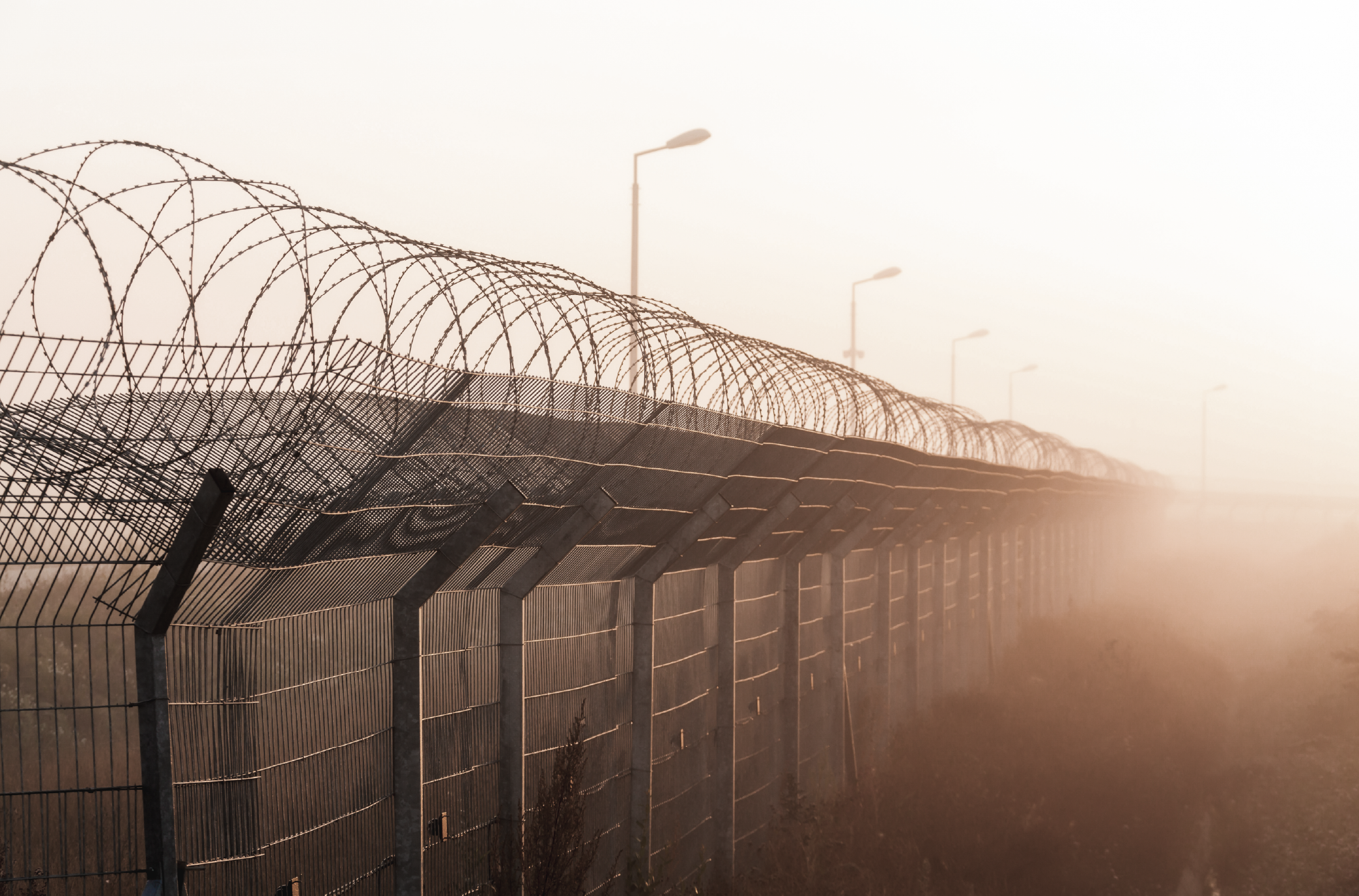 Weekly Newsletter – May 26th